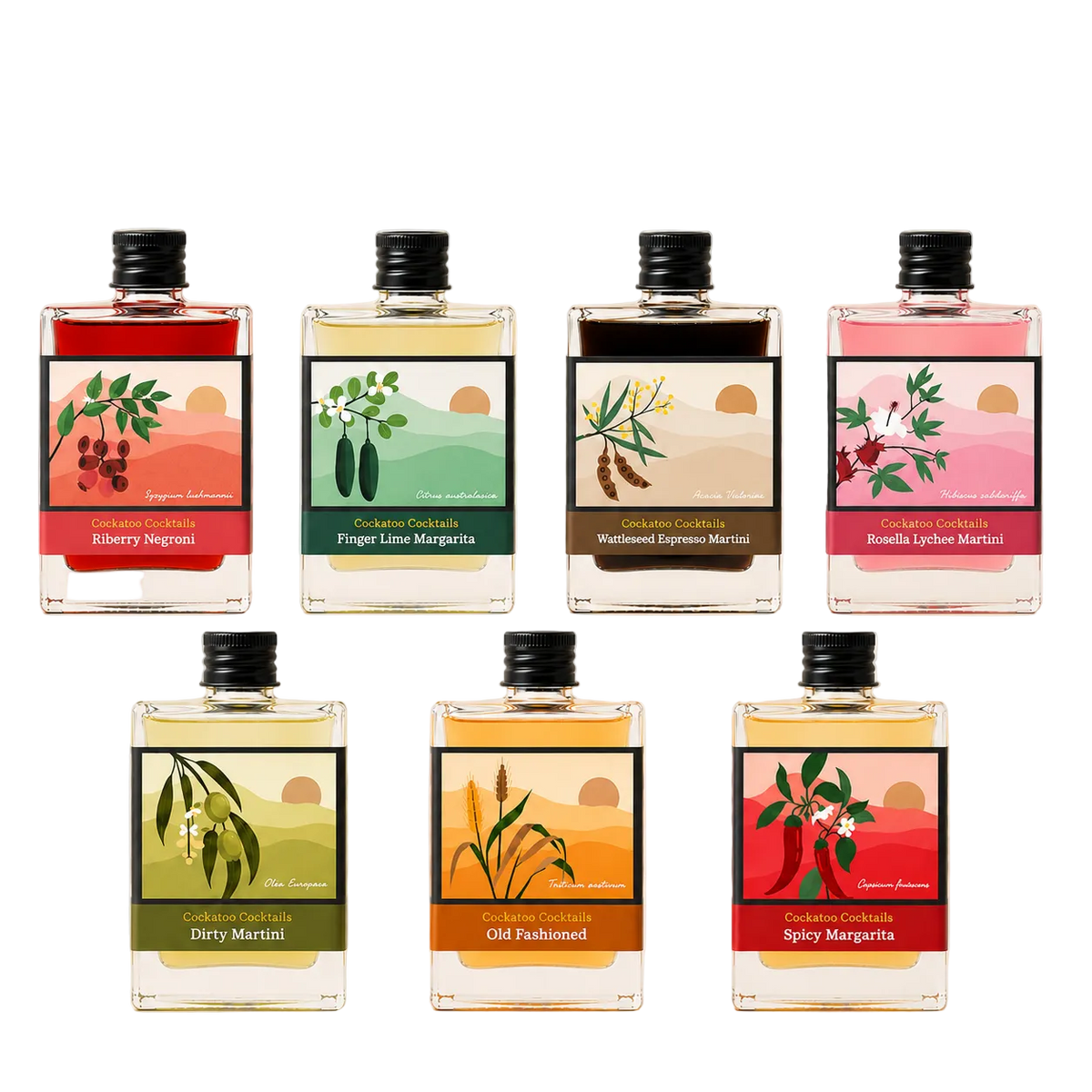 Cocktail Mini's Gift Set